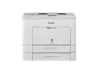 WorkForce AL-M300DTN