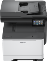 e-Studio 339cs