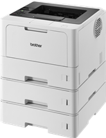 Brother HL-L5210DNTT