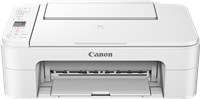 Canon PIXMA TS3151 Multifunction Printer 