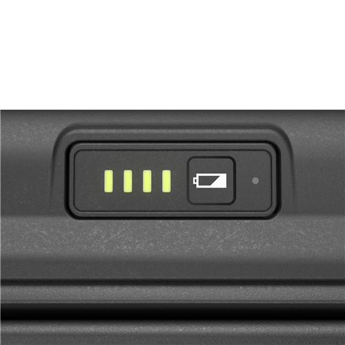 Canon MAXIFY BX110