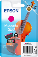 Epson 250 magenta Cartuccia d'inchiostro