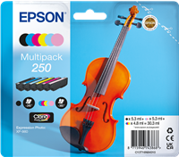 Epson 250 Multipack negro / cian / magenta / amarillo / Cian (claro) / 