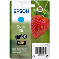 Epson 29 tyrkysová Inkoustovou kazetu