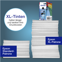 Epson C13T17G14010