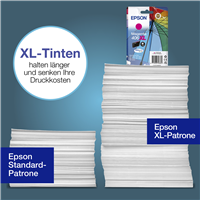 Epson C13T17G34010