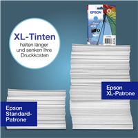 Epson C13T17H24010