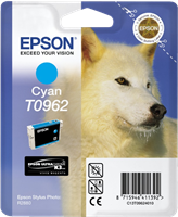 Epson T0961+