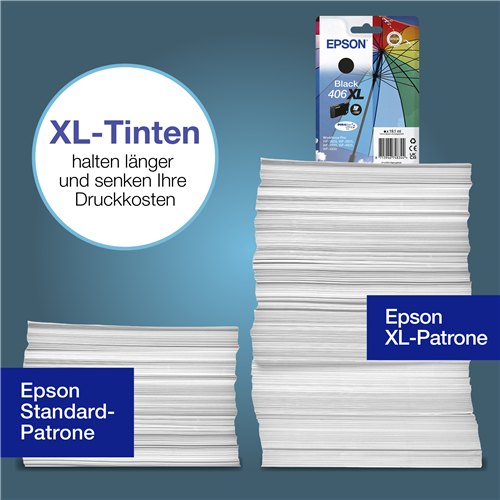 Epson C13T17G14010