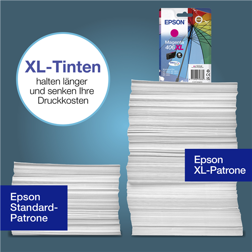 Epson C13T17G34010