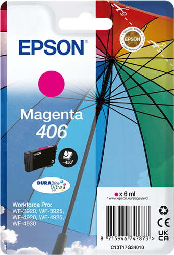 Epson C13T17G34010
