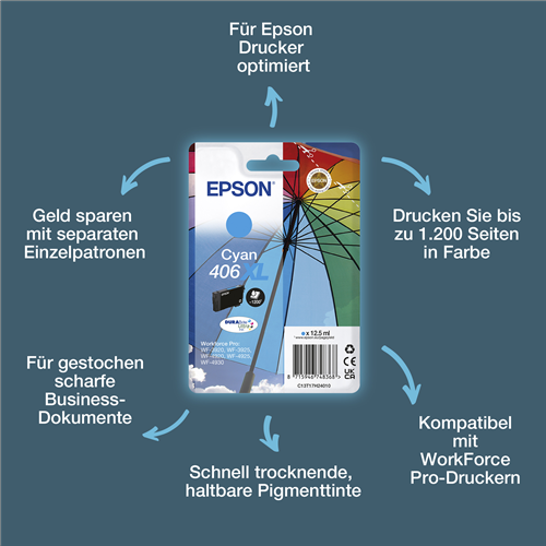 Epson C13T17H24010
