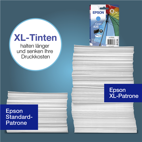 Epson C13T17H24010