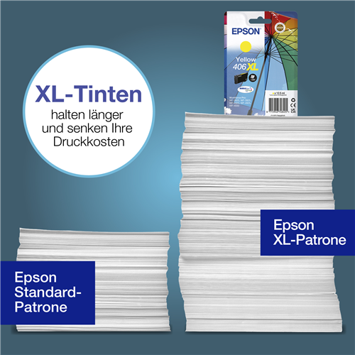 Epson C13T17H44010