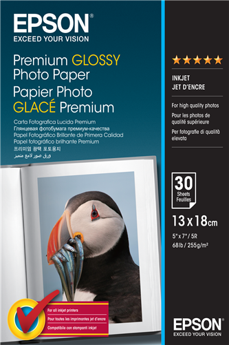 Epson Premium Glossy Fotopapier 13 x 18 cm Weiss