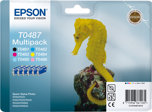 Epson Stylus Photo RX640 C13T04874010