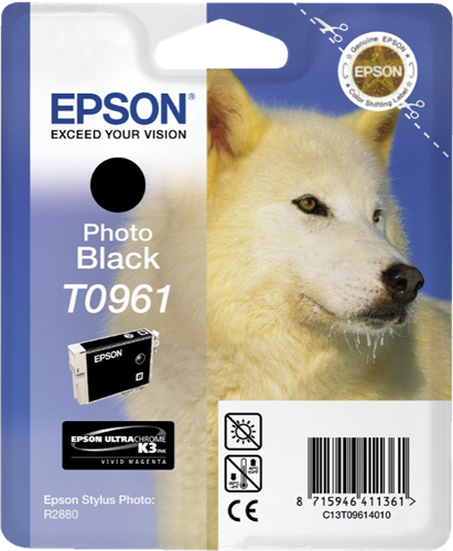 Epson T0961 Negro (foto) Cartucho de tinta