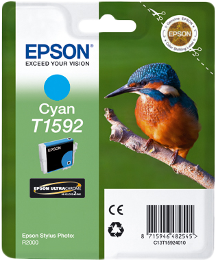 Epson Stylus Photo R2000 C13T15924010