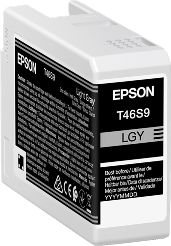 Epson T46S9 Gris (brillant) Cartouche d'encre