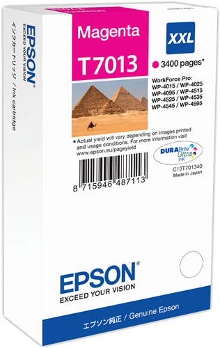 Epson T7013 XXL purpurová Inkoustovou kazetu