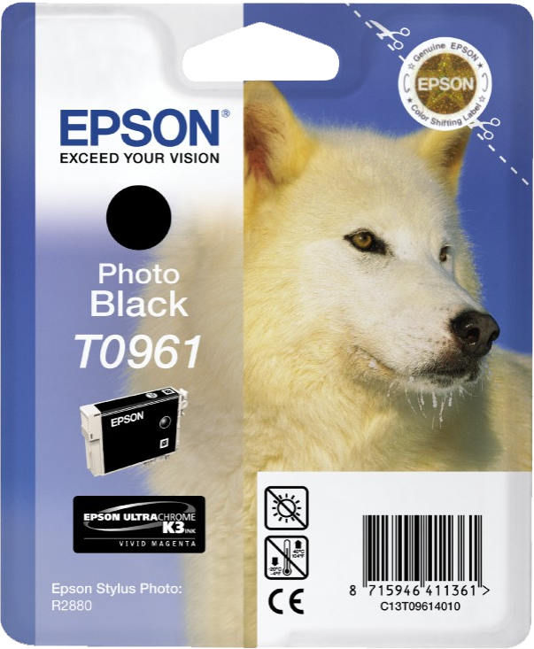 Epson Stylus Photo R2880 C13T09614010