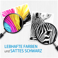 HP DesignJet Z6200 CE017A