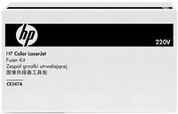 HP CE247A