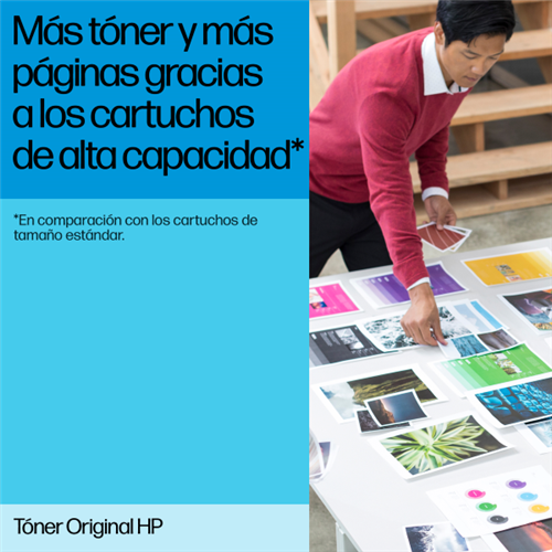 HP W2201X