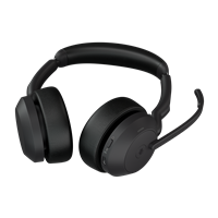 Jabra 25599-999-989