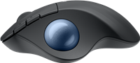 Logitech 910-007029