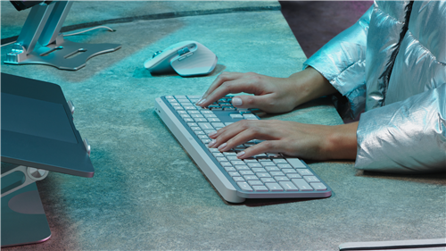 Logitech 920-011566
