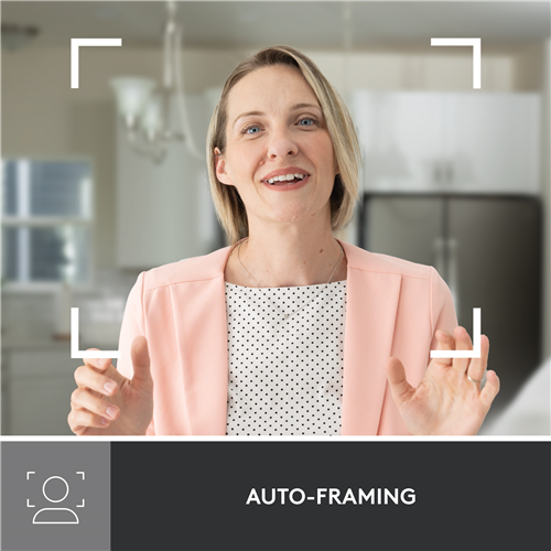 Logitech 960-001421