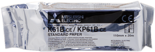 Mitsubishi Bianco
