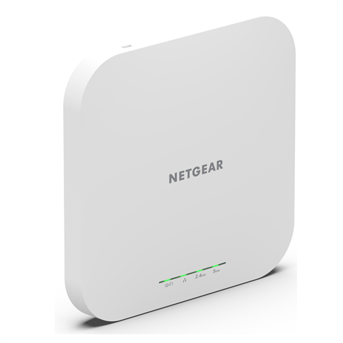 NETGEAR WAX610-100EUS