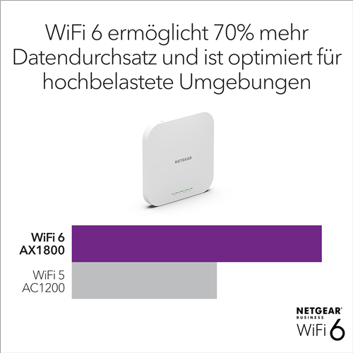 NETGEAR WAX610-100EUS