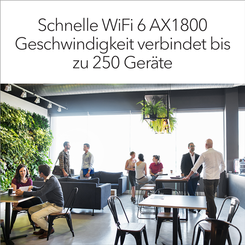 NETGEAR WAX610-100EUS