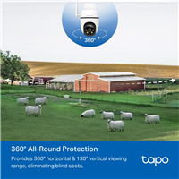 TP-Link TAPO C501GW